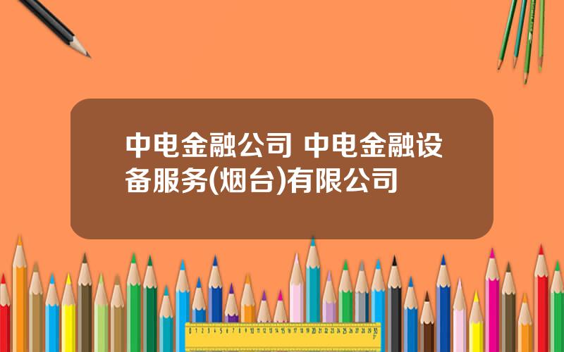 中电金融公司 中电金融设备服务(烟台)有限公司